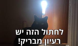 15 תמונות מדליקות שצולמו בתזמון מושלם!