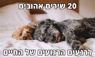 20 שירים אהובים לרגעים השקטים והרגועים של החיים