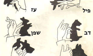 איך עושים צללים של חיות?