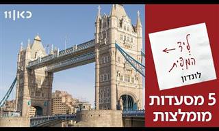 שפים ישראלים ממליצים על המסעדות הטובות ביותר ב-8 יעדים אהובים