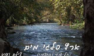 נחל שניר (החצבני)