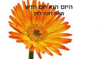 כוחן של התחלות חדשות