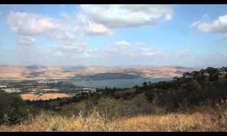 ציפור שניה - צילומי טבע מרהיבים!
