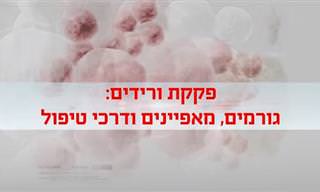 פקקת ורידים: כל מה שצריך לדעת