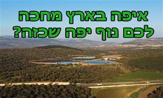 המלצה לטיול: בואו לגלות מה מחכה לכם ביער ונחל ציפורי