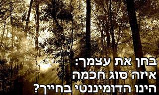 בחן את עצמך: איזה סוג חכמה הינו הדומיננטי בחייך?