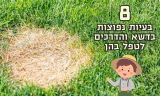מדריך לזיהוי וטיפול ב-8 בעיות נפוצות בדשא של הגינה הביתית