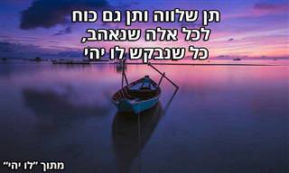 14 ציטוטים יפהפיים ומעצימים משיריה של נעמי שמר ז