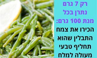 11 יתרונות בריאותיים של צמח התבלין סליקורניה