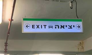 15 שלטים מצחיקים במיוחד שיעשו לכם את היום