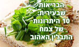 10 יתרונותיה הבריאותיים של העירית