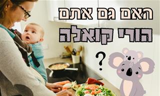 הורות קואלה – יתרונות וחסרונות, ואיך תדעו שאתם כאלה