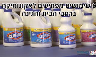 6 שימושים מפתיעים לאקונומיקה ברחבי הבית ובגינה