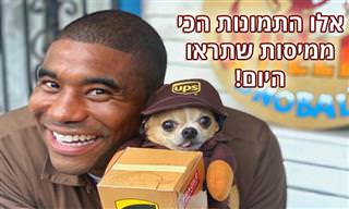 15 תמונות ממיסות של שליח שמצטלם עם כלבים מתוקים