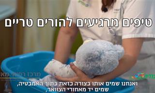 טיפים מרגיעים להורים טריים ממנהלת מחלקת יולדות