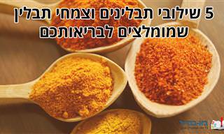 5 שילובי תבלינים מומלצים לבריאות