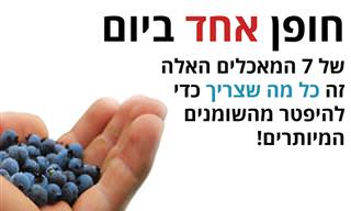 חופן אחד ביום מהמאכלים האלה יעזור לכם להיפטר משומנים מיותרים!