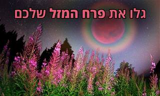 גלו מה פרח המזל שלכם