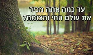 עד כמה אתה מכיר את עולם החי והצומח
