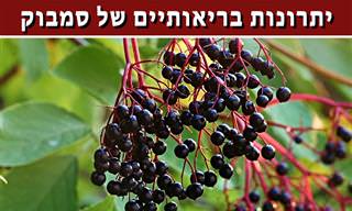 היתרונות הבריאותיים של הסמבוק