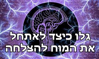 ניקוי דופמין - הדרך היעילה לאתחל את המוח להצלחה