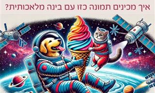 4 כלי בינה מלאכותית שכדאי לכם להכיר וההבדלים שביניהם