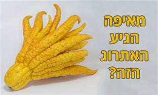 אוסף 18 