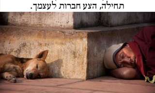 גלויות מקסימות לחיים היפים!