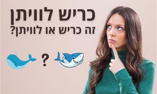 חידון סוג של...