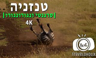 טיול ספארי בשמורת הטבע המרהיבות של טנזניה