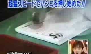 יום במשרד: יפן נגד ישראל - מצחיק!