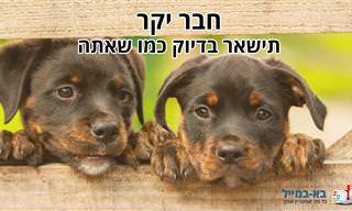 חבר יקר – תישאר בדיוק כמו שאתה