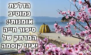 יאיוי קוסמה: האישה שהפכה את הדלעת למוטיב חייה ואומנותה