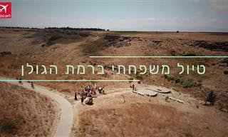 המלצות על אטרקציות ומסלול טיול משפחתי ברמת הגולן