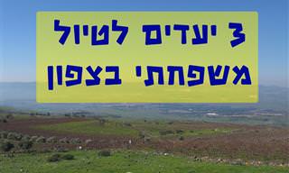 3 יעדים קסומים לטיול משפחתי עירוני בצפון הארץ