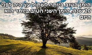 14 ציטוטים חכמים לחיים טובים ומאושרים