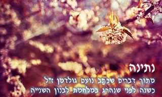 הנתינה - מילותיו של נועם גולדמן ז