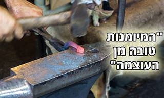 14 פתגמים ואמרות חוכמה שמקורם מספרד