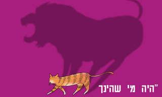 15 גלויות יפות לחיים!