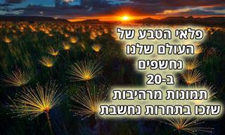 20 תמונות טבע מרהיבות מתחרות הצילום הבינלאומית טוקיו 2020