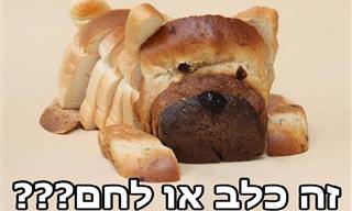 15 יצירות משעשעות מחפצים יומיומיים של הלגה שטנזל