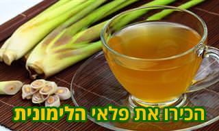 יתרונותיו של עשב הלימון ו-3 מתכונים טעימים ובריאים שתוכלו להכין באמצעותו