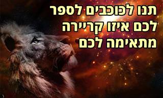 בחרו את המזל שלכם וגלו איזו קריירה מתאימה לכם