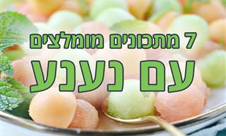 7 מתכונים מומלצים עם נענע
