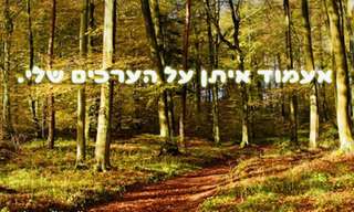 מנטרות לשנה החדשה!