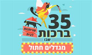 35 ברכות שניתנות לבית שבו מגדלים חתול