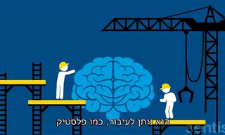 הסבר על הפלסטיות והגמישות של המוח שלנו