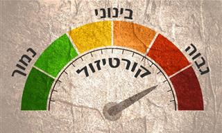 קוקטייל קורטיזול – האם הטרנד הזה באמת עוזר להפחית לחצים?