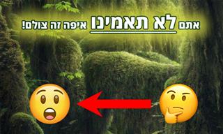 15 תמונות טבע מדהימות מרחבי ארה