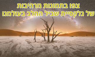 תמונות מצטיינות מתחרות 